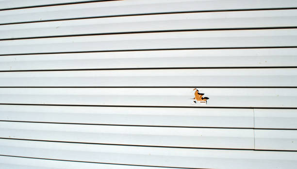 Best Insulated Siding Installation  in Grafton, WI